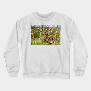 Bright spring grass field with sunlight bokeh background Crewneck Sweatshirt